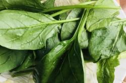 赤峰百姓大食堂電話號碼