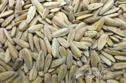 赤峰劉龍瓜子店電話地址查詢