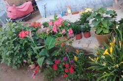 赤峰王家店社區(qū)電話號(hào)碼是多少