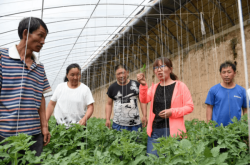 赤峰種植戶有電話號碼嗎