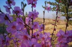 赤峰紅山區(qū)大牧場電話號碼