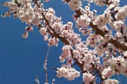 赤峰寧城縣婷婷診所電話號(hào)碼