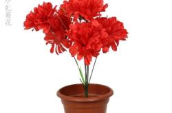 赤峰清明花批發(fā)廠家電話多少