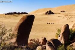 赤峰市怪才炸雞店電話(huà)號(hào)碼