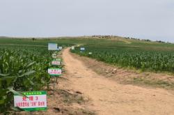 赤峰碎玉米供應(yīng)商電話號碼