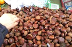 赤峰大板干果批發(fā)電話地址查詢