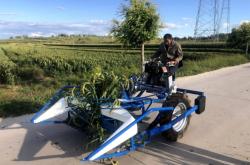 赤峰谷子草捆回收電話號碼