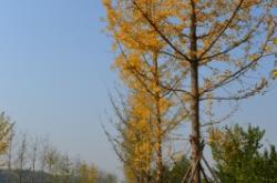 赤峰搜影公司地址電話號碼