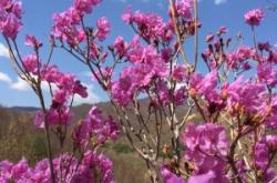 赤峰寧城縣婚紗租賃電話號碼