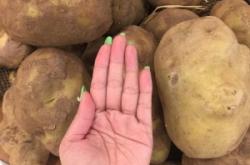 赤峰寶發(fā)水果超市電話號(hào)碼