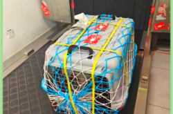 赤峰空運(yùn)寵物托運(yùn)電話多少號