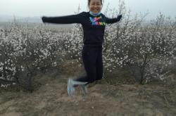 赤峰平莊雨林社區(qū)電話號(hào)碼是多少