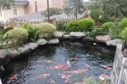 赤峰養(yǎng)魚池出租電話多少號