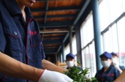 赤峰問(wèn)道茶居電話多少啊