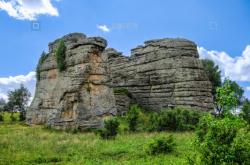 赤峰阿呆寵物店電話號(hào)碼多少