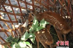 赤峰牧隆養(yǎng)殖廠電話地址查詢