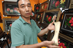 赤峰趙三骨頭館電話號(hào)碼查詢