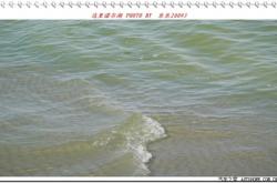 赤峰諾爾湖礦泉水電話號碼