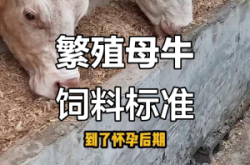 赤峰市母牛飼料廠電話號(hào)碼