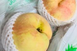 上海百果園赤峰路店電話號(hào)碼