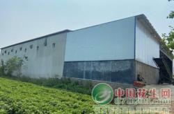 赤峰花生加工廠電話多少號