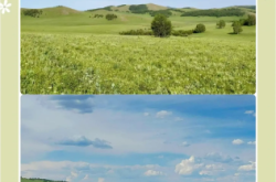 赤峰天旭太陽能客服電話號碼