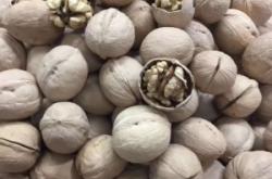 赤峰賣花盆直播間電話號碼是多少