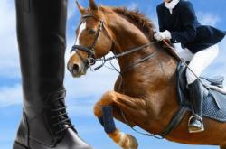 赤峰馬靴店鋪地址查詢電話號碼