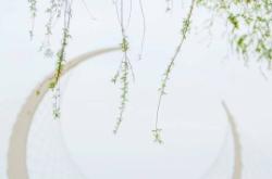 赤峰玖菲娜眉毛店電話地址查詢