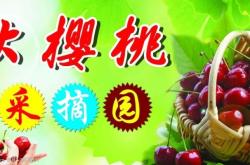 赤峰市大櫻桃采摘園電話號碼