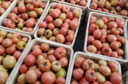 赤峰紅山水果鮮貨電話多少號