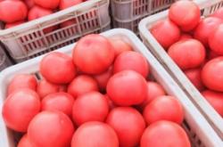 赤峰新上煉鋅廠地址電話是多少