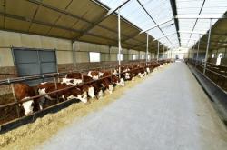 赤峰植物油批發(fā)電話地址查詢