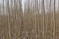 赤峰楊哥救援隊電話地址查詢