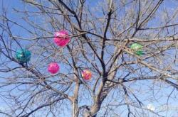 赤峰寧城縣城管局電話號(hào)碼