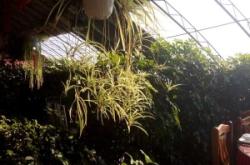 赤峰市國(guó)營(yíng)飯店電話多少號(hào)