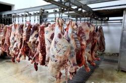 赤峰肉雞屠宰場(chǎng)電話號(hào)碼查詢(xún)