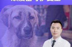 赤峰市破傷風(fēng)疫苗電話查詢號(hào)碼