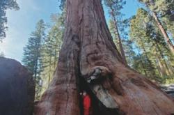 赤峰紅杉國家公園電話號碼