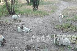 赤峰市送水貓電話地址查詢