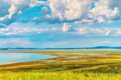 赤峰景麗臺(tái)球廳地址電話(huà)號(hào)碼