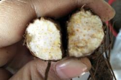 赤峰皮凍批發(fā)電話號碼查詢