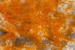 赤峰老城火鍋店電話多少號