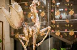 赤峰恒茂大廈精品酒店電話號碼