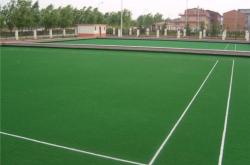 赤峰體育場草坪批發(fā)電話號碼