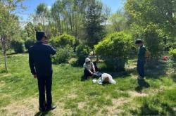 赤峰生態(tài)園城管電話號(hào)碼是多少