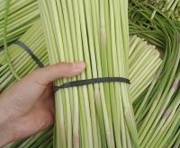 赤峰市蒜苔批發(fā)電話號碼