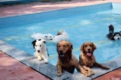 赤峰南山訓犬基地電話號碼