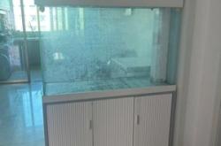 赤峰過濾器魚缸廠家電話號碼