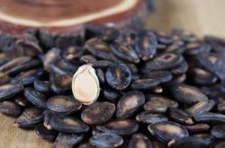 赤峰市打瓜子電話號碼是多少